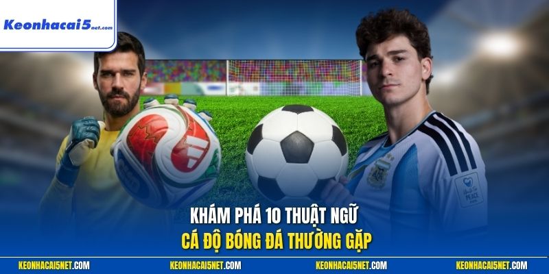 Khám phá 10 thuật ngữ cá độ bóng đá thường gặp